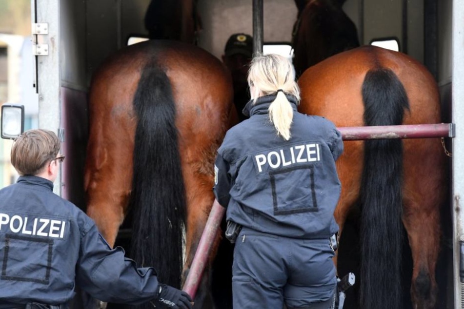 Die Pferde wurden erfolgreich verladen und bezogen ihre neuen Stallungen im brandenburgischen Stahnsdorf.