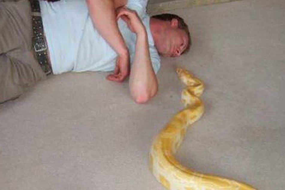 Die Python "Tiny" soll ihren Besitzer ermordet haben.