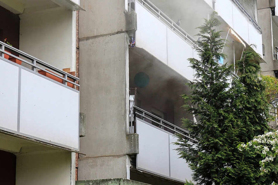 Die Katze der Mieterin verstarb bei dem Brand.