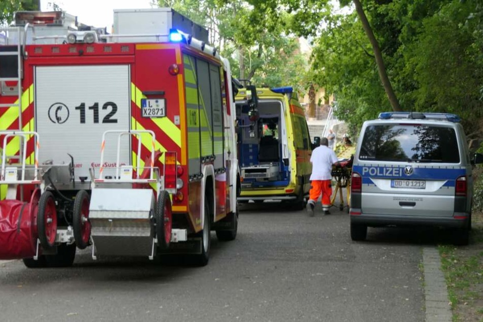 In Grimma ist ein Ast von einem Baum gestürzt und hat zwei Menschen verletzt.