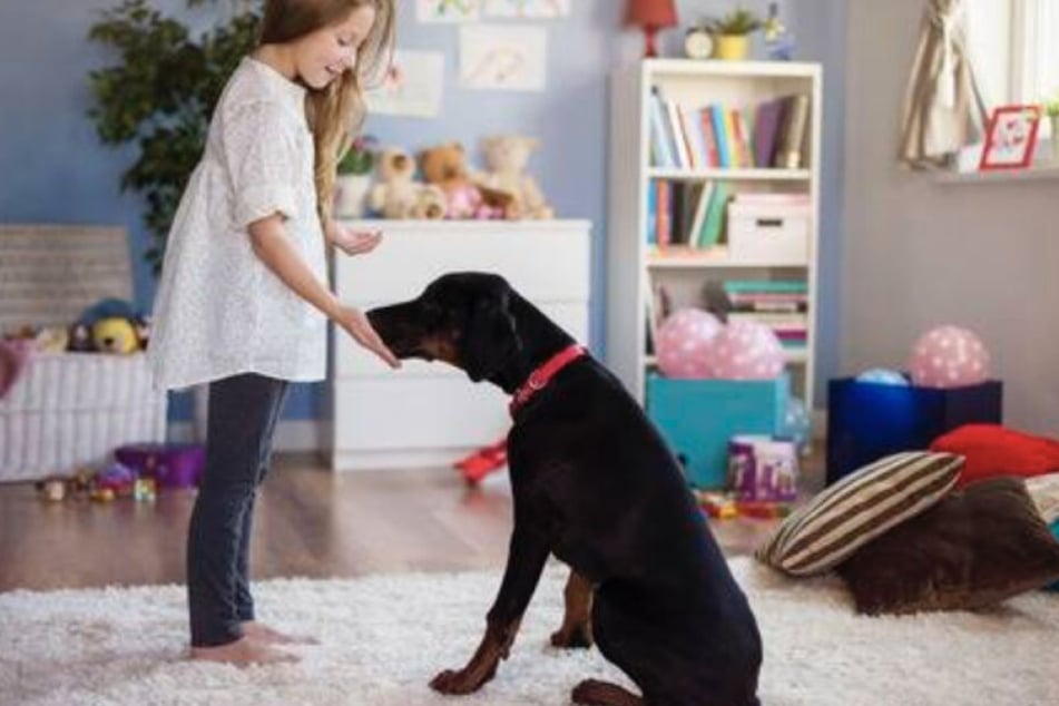 Vor dem Kauf sollen sich potenzielle Hundehalter genau über ihren neuen Schützling informieren.