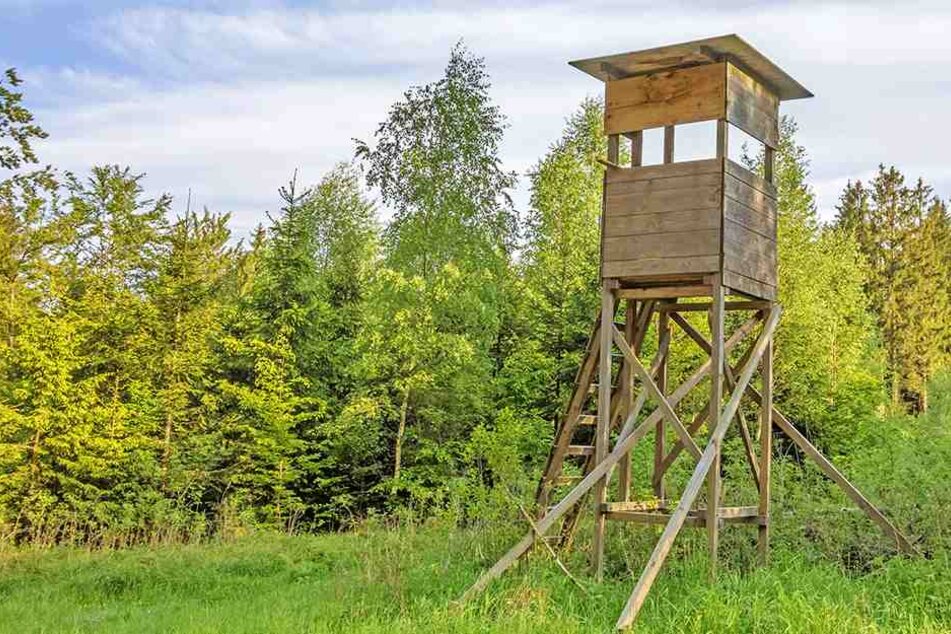 Monatelang soll der Mann auf dem Hochsitz gelegen haben (Symbolbild).