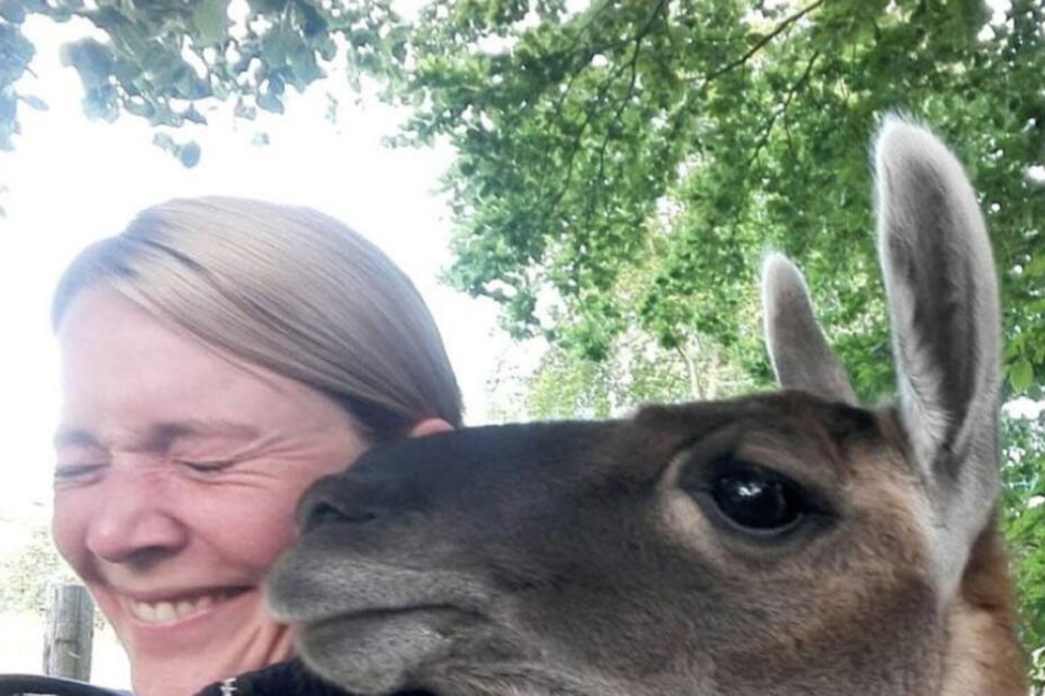Die erfolgreiche Jagd auf die entlaufenden Lamas wurde von den beiden Polizisten mit einem Foto festgehalten.