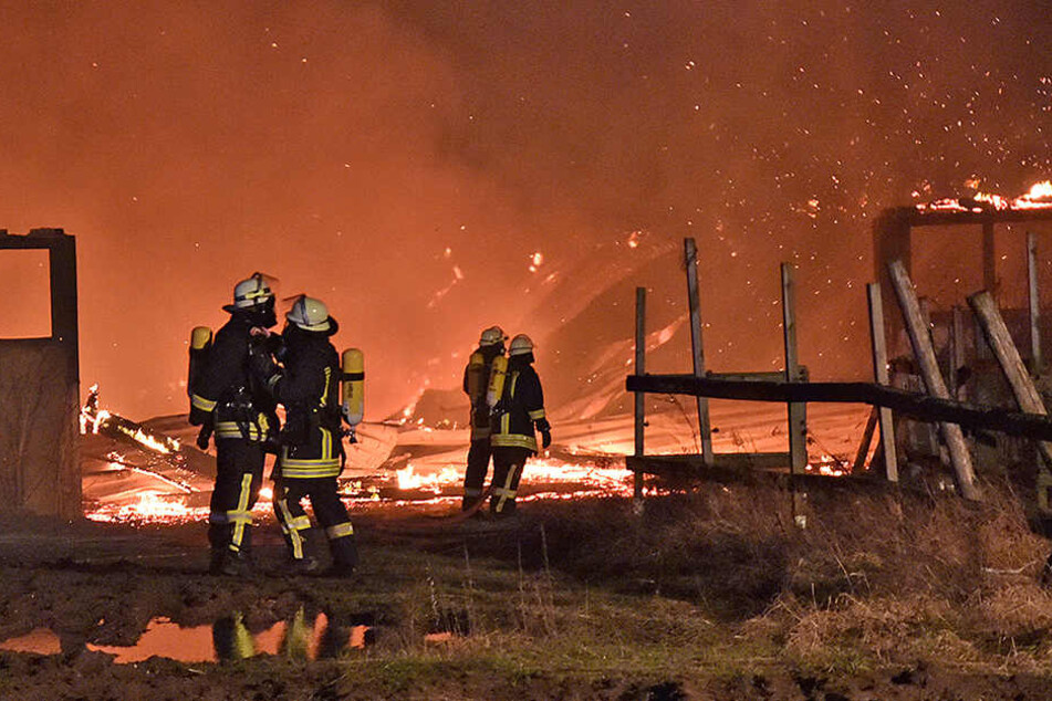 Insgesamt 88 Einsatzkräfte waren bei den Löscharbeiten vor Ort.