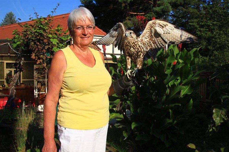Besitzerin Gisela Braun kann es kaum fassen, dass ihre gefiederte Freundin wieder zurück ist.