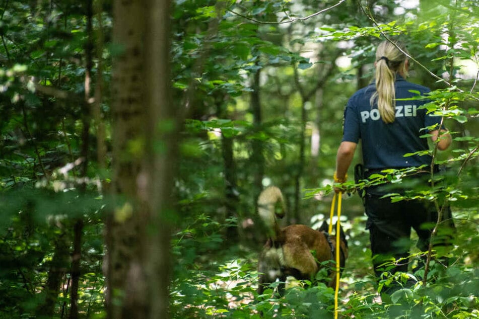 Eine Polizistin sucht mithilfe eines Suchhundes in einem Waldstück nach Hinweisen. Ein elfjähriges Mädchen wurde am hellichten Tag von einem Mann, der eine Wolfsmaske getragen haben soll, vergewaltigt.