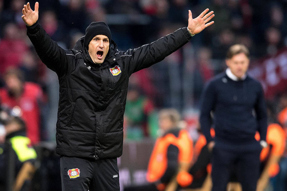 Bayer-Coach Heiko Herrlich glaubte bis zum Schluss, dass seine Mannschaft noch den Sieg holt.
