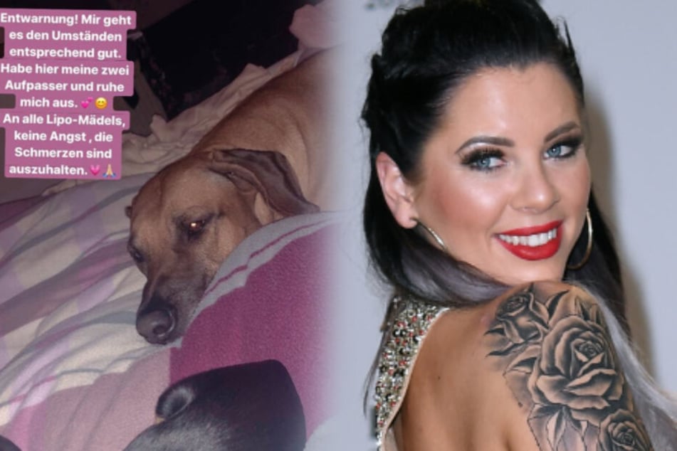 Jenny selbst war auf dem Foto nicht zu sehen, nur ihre Hunde Priscilla und Hailey. (Montage)