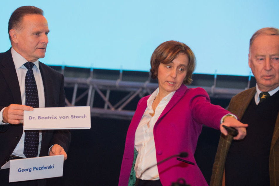 Auf dem AfD-Bundesparteitag in Hannover giftete Beatrix von Storch gegen Bundeskanzlerin Angela Merkel.