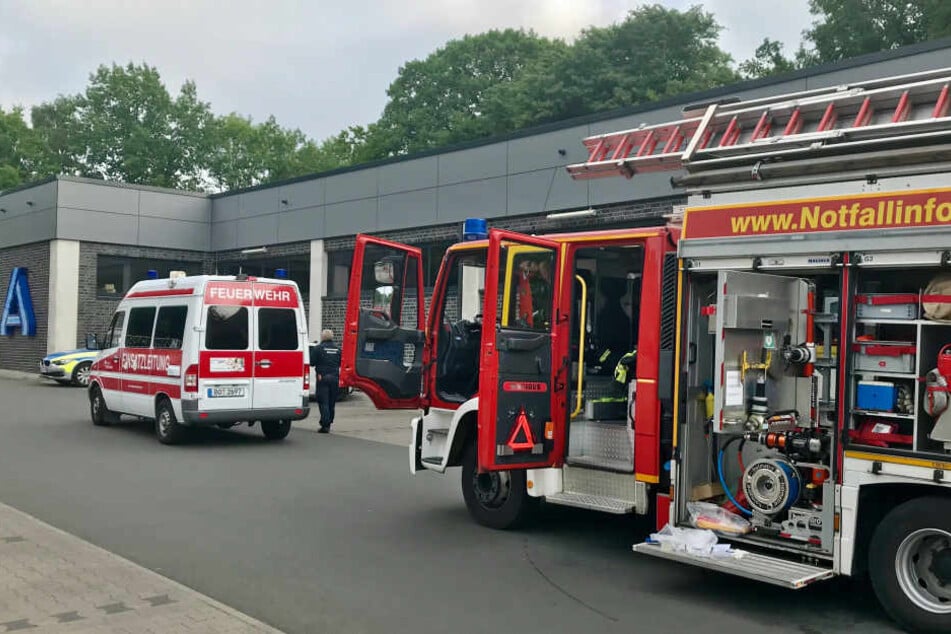 Nachdem Mitarbeiter eine Spinne in einem Bananenkarton bemerkt hatten, alarmierten sie die Feuerwehr.