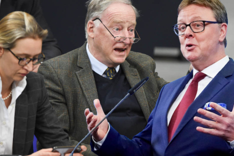 CDU-Politiker Michael Grosse-Brömer (57, re.) fordert eine deutliche Distanzierung der AfD um die Vorsitzenden Weidel und Gauland vom Rechtsextremismus.
