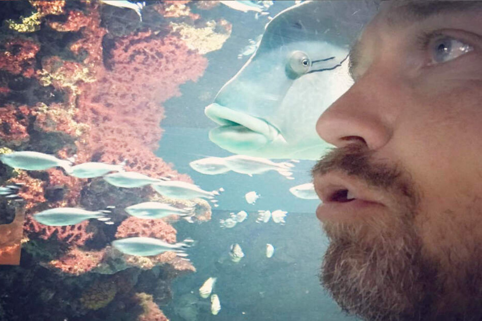 Wayne Carpendale sorgt mit Bild auf Instagram bei seinen Fans für gute Laune.