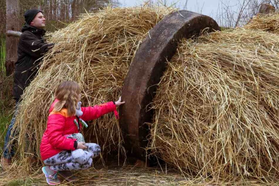 Die riesigen Holzräder werden erst mit Roggenstroh gefüllt...