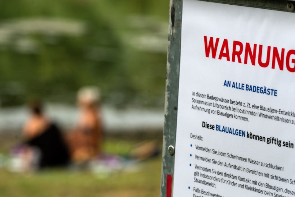 Blaualgen-Alarm an der Kiesgrube in Großzschocher! (Symbolbild)