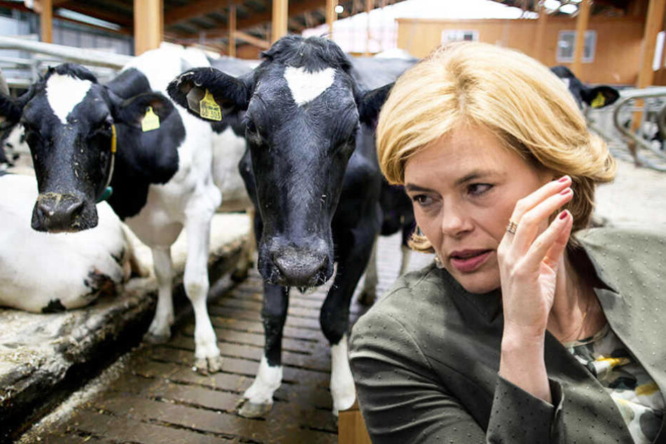 Agrarministerin Julia Klöckner (45, CDU) stellte jetzt das "Tierwohllabel" vor.