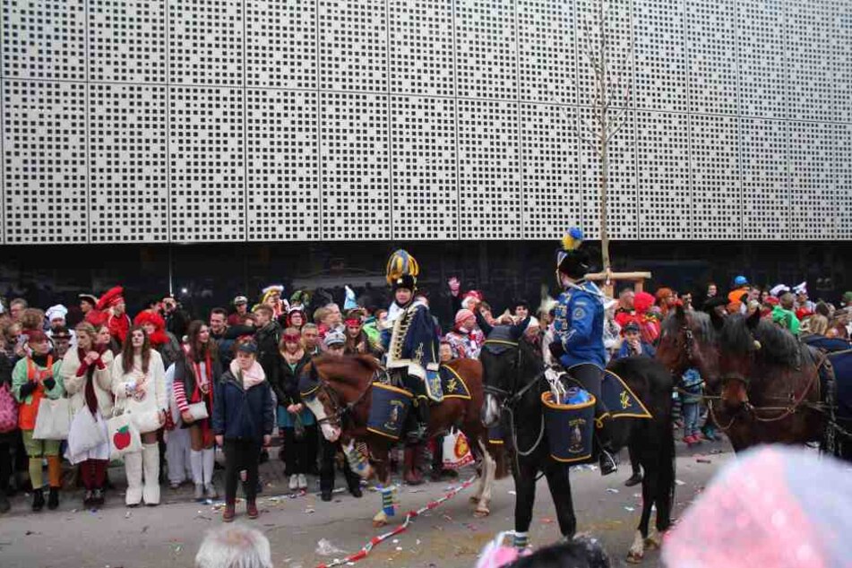 Die Familie Tillmann von Gut Neuhaus bei Neukirchen stellt ihre Pferde schon seit langer Zeit für die großen Rosenmontagszüge zur Verfügung.