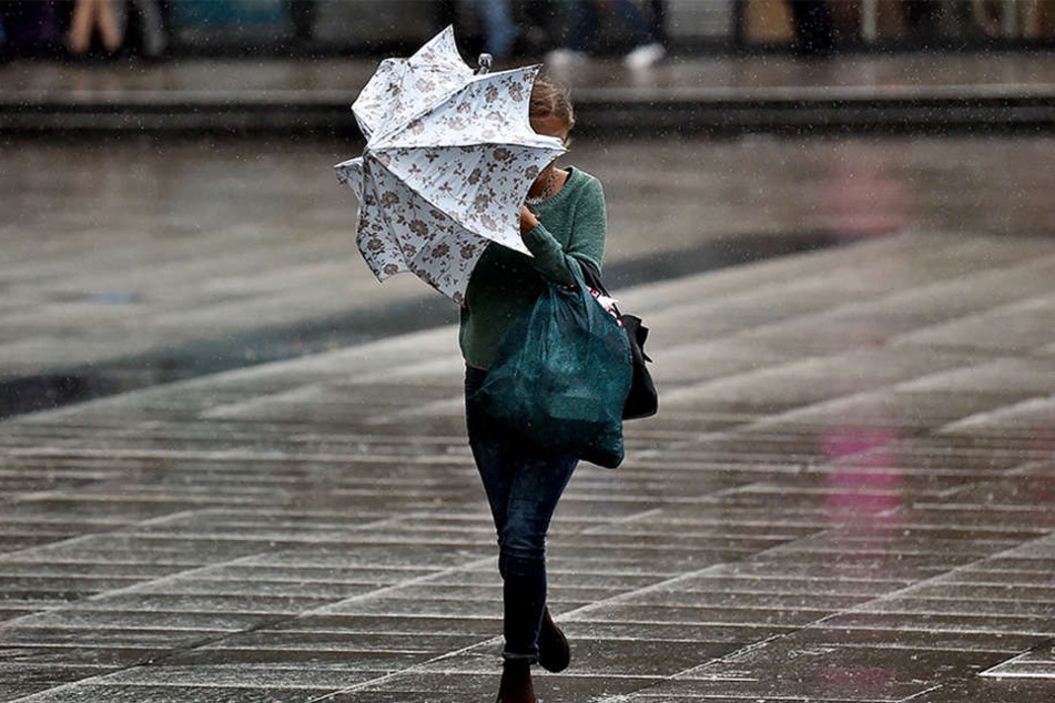 Ein Regenschirm wird bei prognostizierten 90 bis 100 km/h keinen Unterschied machen.