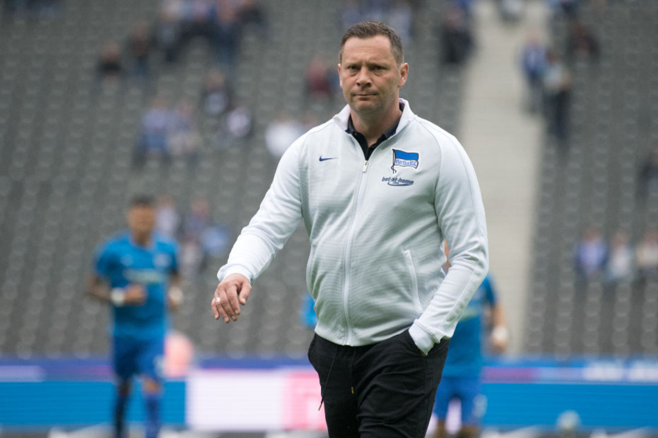 Hertha-Trainer Dardai bei einer Trainingseinheit im Berliner Olympiastadion.