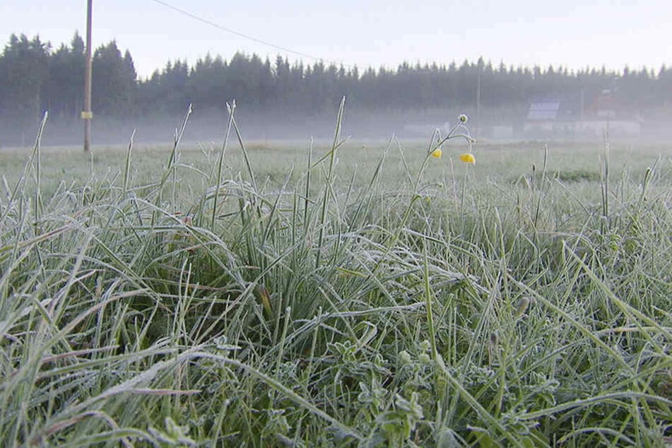 Am Montagmorgen gab es in Kühnhaide Bodenfrost.