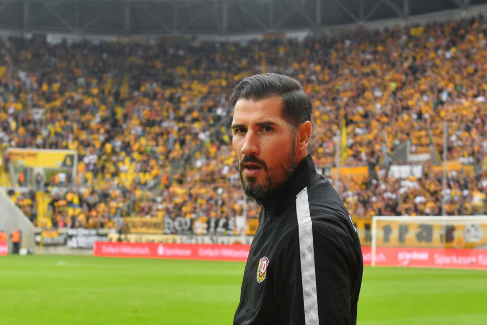 Cristian Fiel wird neuer Dynamo-Coach.