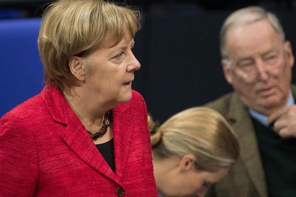 "Wir werden Frau Merkel jagen", sagte Alexander Gauland (76, AfD) kurz nach der Wahl.