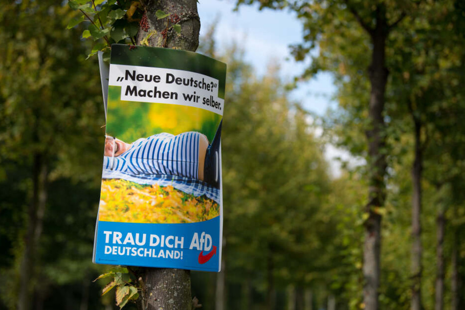 Insgesamt 16 Wahlplakate hatte die zehnköpfige Gruppe in Leipzig-Mockau heruntergerissen. (Archivbild)