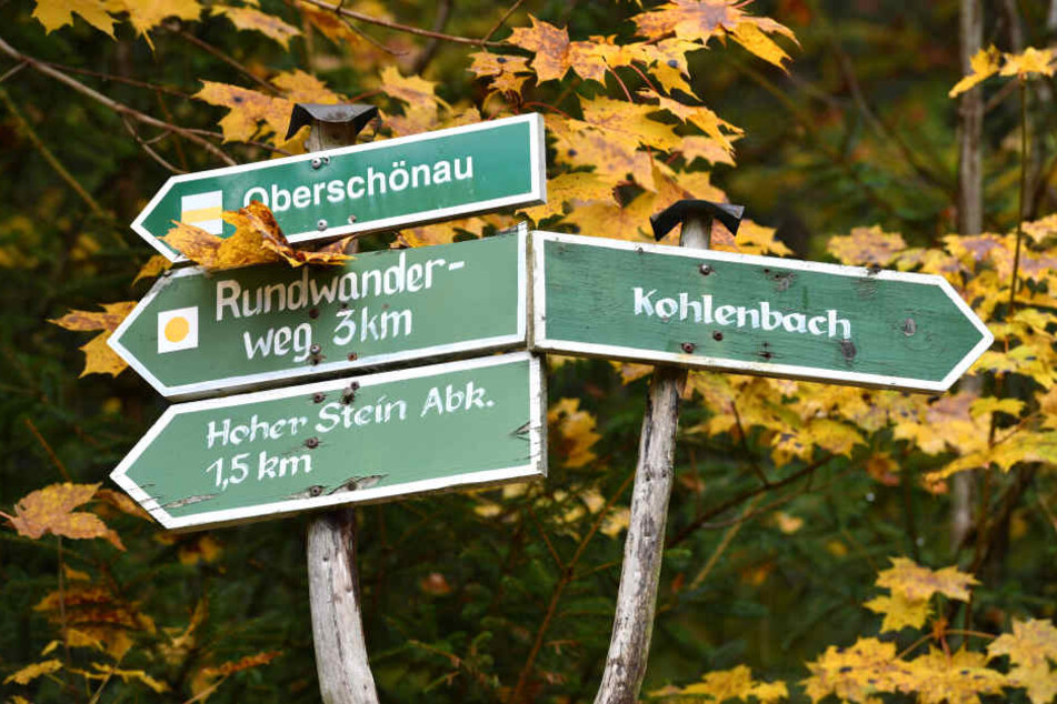 Der Thüringer Wald ist vor allem als Wanderregion beliebt.