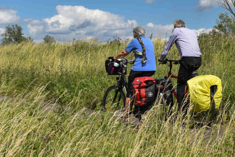Radwandertouristen fahren entlang der Ostseeküste. (Symbolbild)