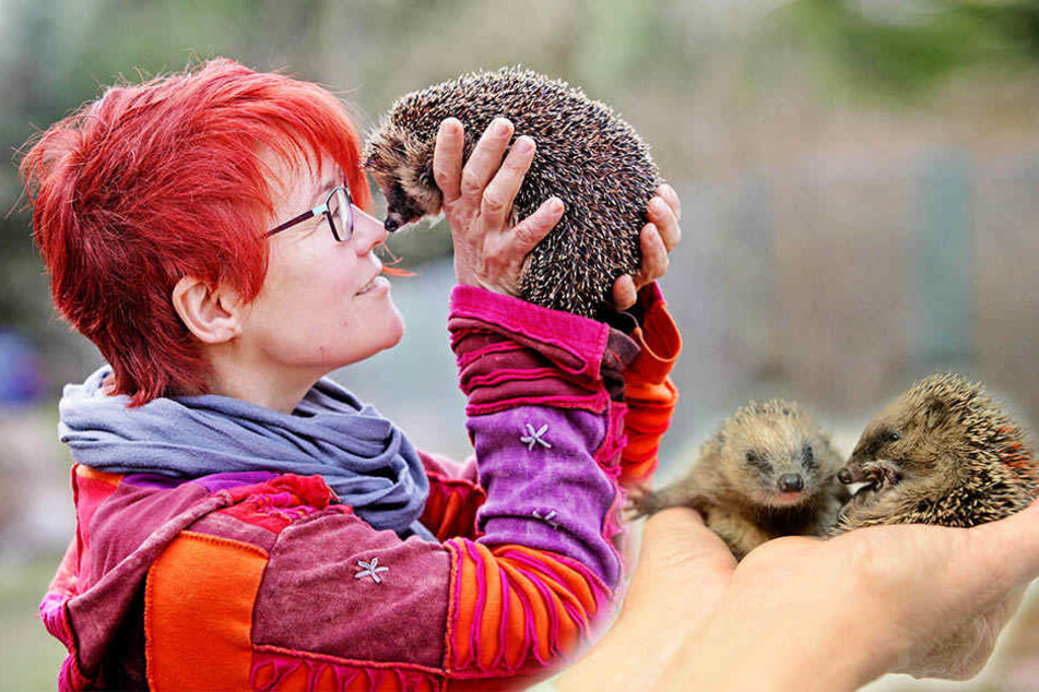 Igel Conny wurde Cornelia Schicke
(54) mit einer Beinverletzung
gebracht. Zum Glück konnte das
Bein gerettet werden.