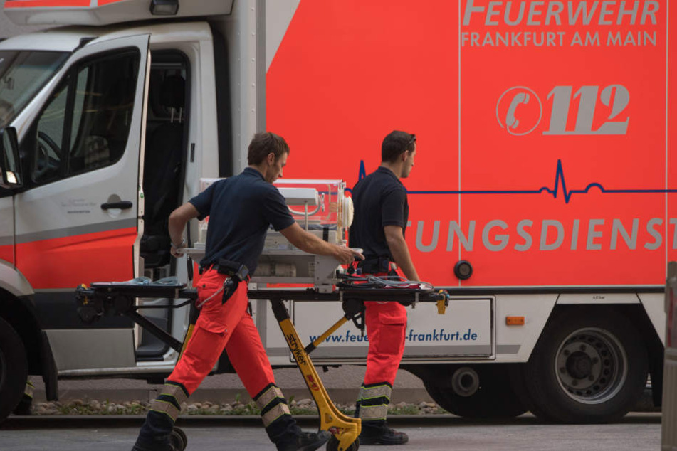 Der niedrige Pegelstand des Rheins fördert immer mehr Kriegsmunition zutage. (Symbolbild)