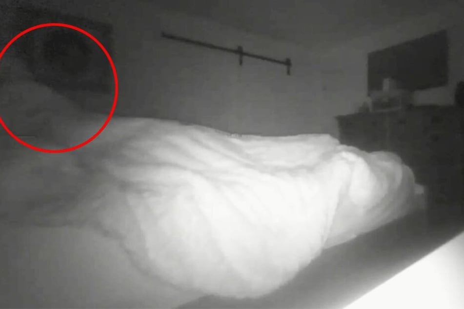 Was richtet sich hier im Bett auf?