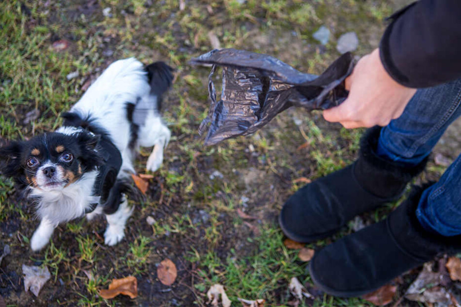 So gehört sich das! Hundehalterin Sandra R. (37) hat immer genügend Tüten dabei, wenn sie mit Hundedame Pelusa Gassi geht.