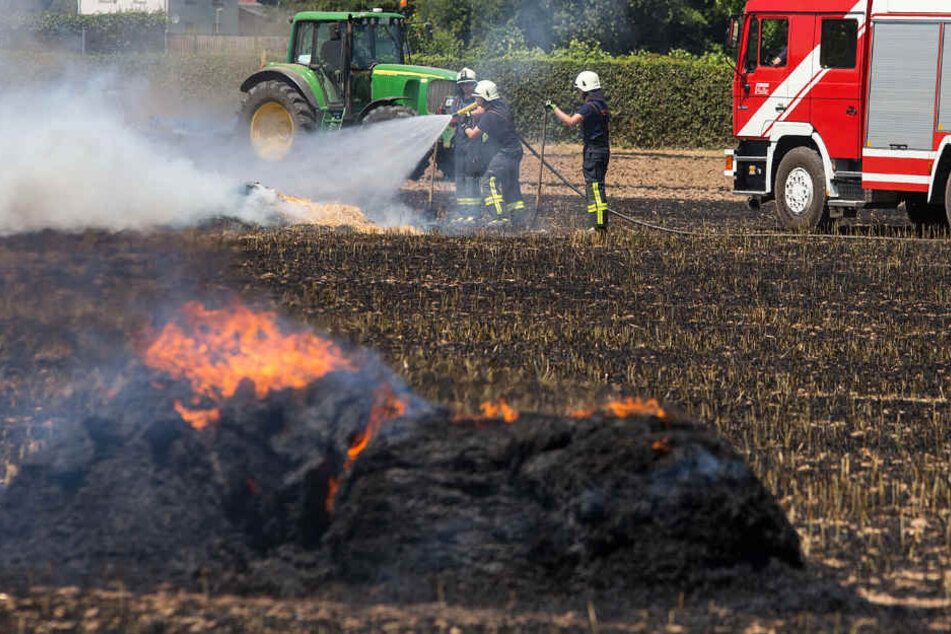 Laut einem Zeugen war der Brand bei Hattersheim wegen der Trockenheit sehr intensiv.