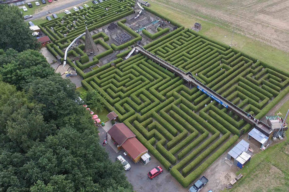 1,7 Millionen Menschen wandelten bereits durch die Strauchreihen von Sachsens größtem Irrgarten. Einziges Ziel immer: den Ausgang finden ...