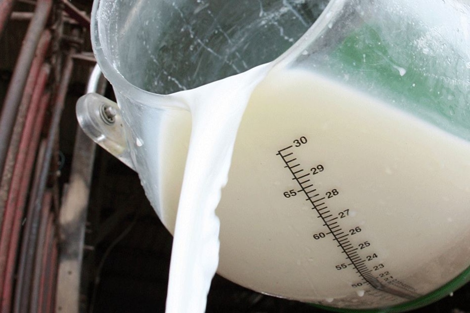 Nicht nur Rohmilch als solches birgt Gefahren, sondern auch Rohmilchprodukte, wie zum Beispiel Rohmilchkäse.
