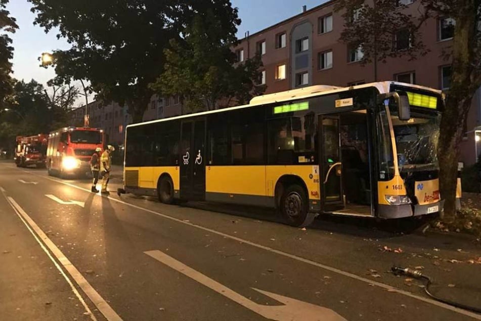Der Linienbus knallte frontal gegen einen Baum. Der Fahrer wurde verletzt.