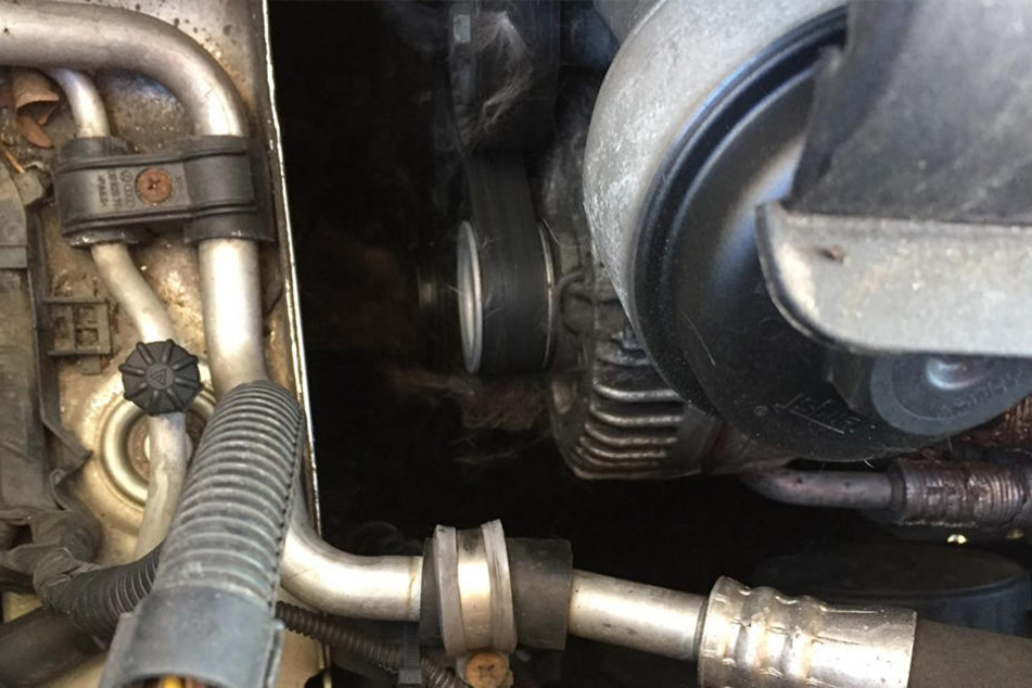 Im Motorraum sind noch deutlich Spuren von der Katze zu erkennen.