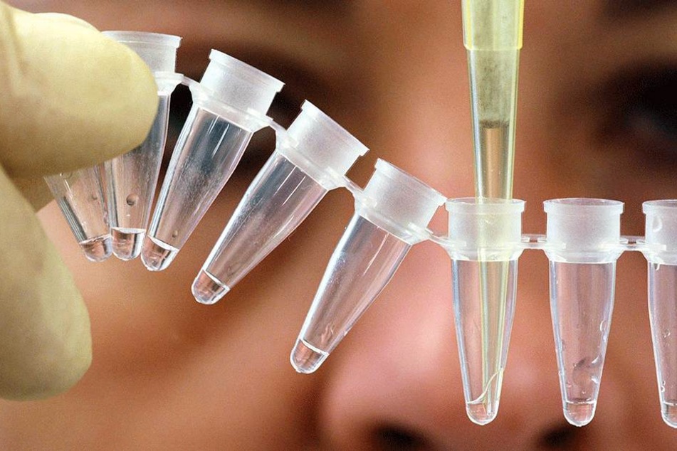 Ein DNA-Test brachte alles ins Wanken.