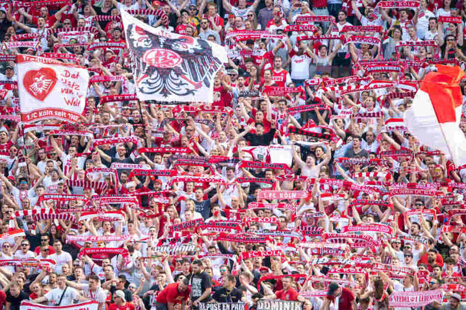Die Köln-Fans beim Spiel gegen den FC Bayern München.