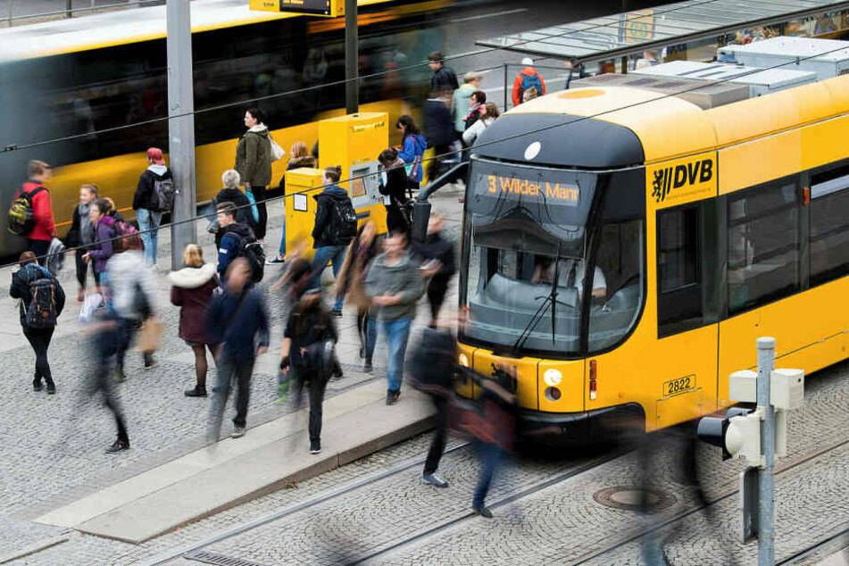 Rekord in Dresden! Noch nie fuhren so viele Leute Bus und Bahn