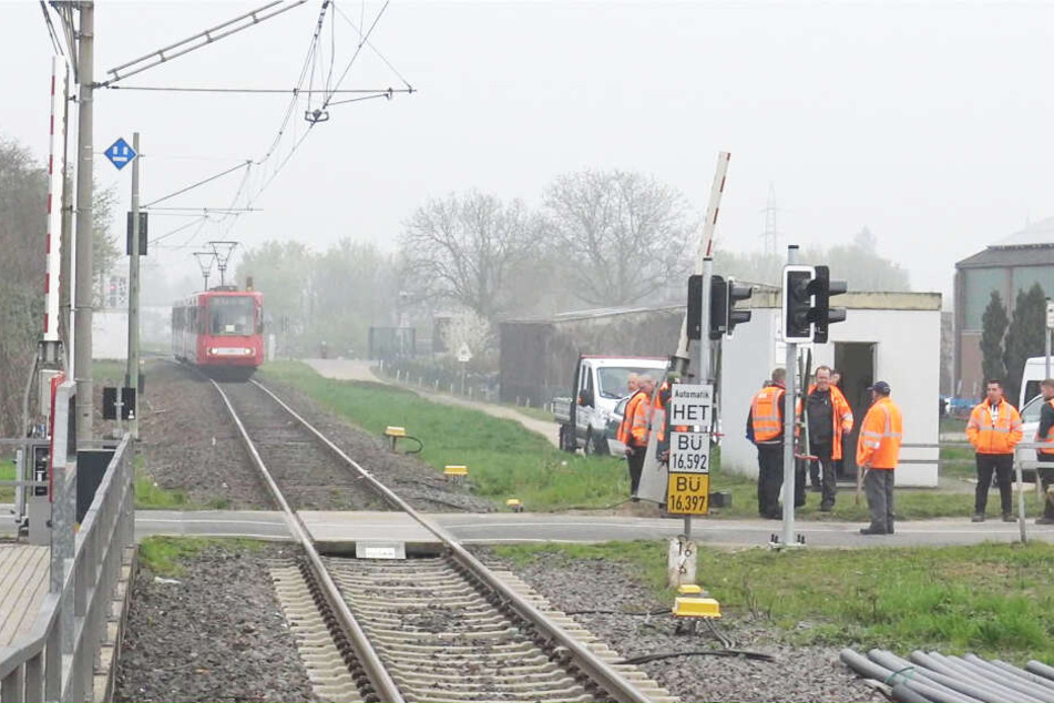 Der Autofahrer und seine Beifahrerin wurden bei dem Unfall verletzt.
