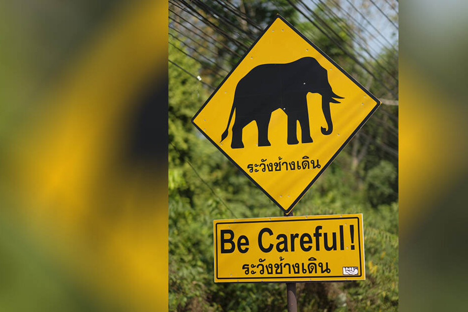 In Thailand warnen solche Schilder vor Elefanten.
