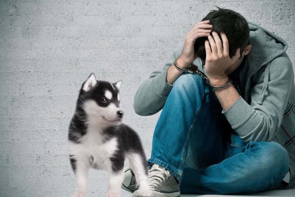 Der Teenager wurde festgenommen. (Symbolbild)
