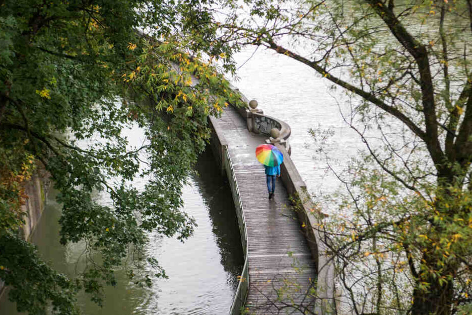 Wer am Wochenende in die Natur will, sollte einen Schirm dabei haben. (Symbolbild)