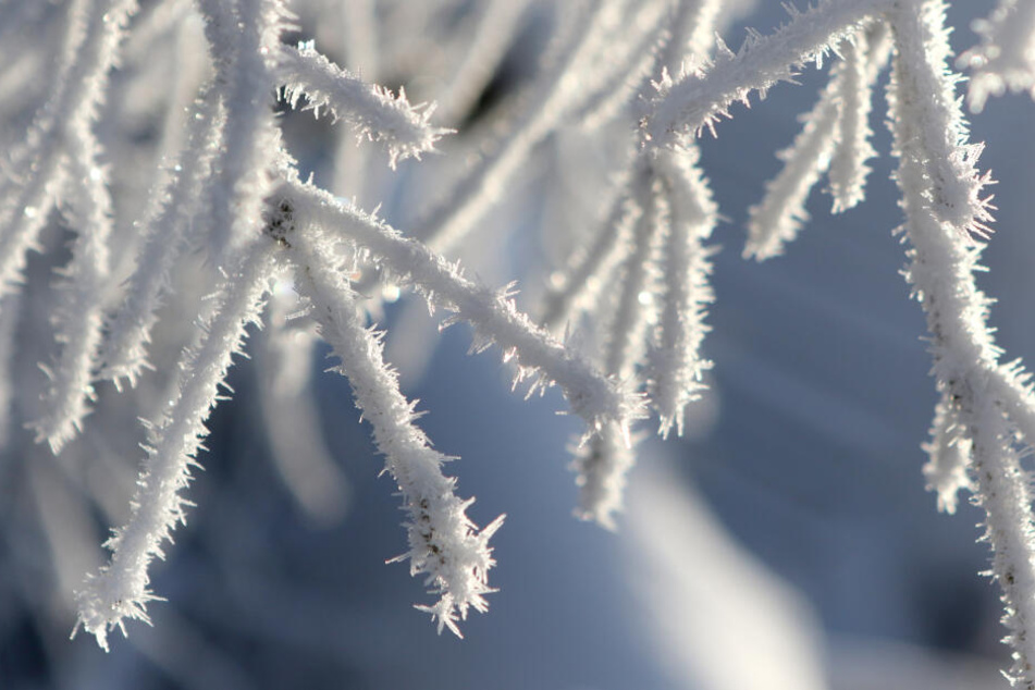 Von Winter Wonderland findet sich in Deutschland derzeit keine Spur.