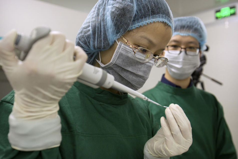 Zhou Xiaoqin (l) lädt Cas9-Protein und PCSK9 sgRNA-Moleküle in eine feine Glaspipette, während Qin Jinzhou (r) in einem Labor in Shenzhen sie beobachtet.