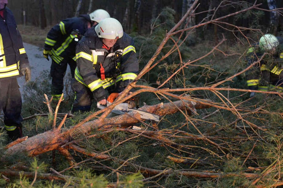 Einsatzkräfte müssen nun die Wälder sicher machen. (Symbolbild)