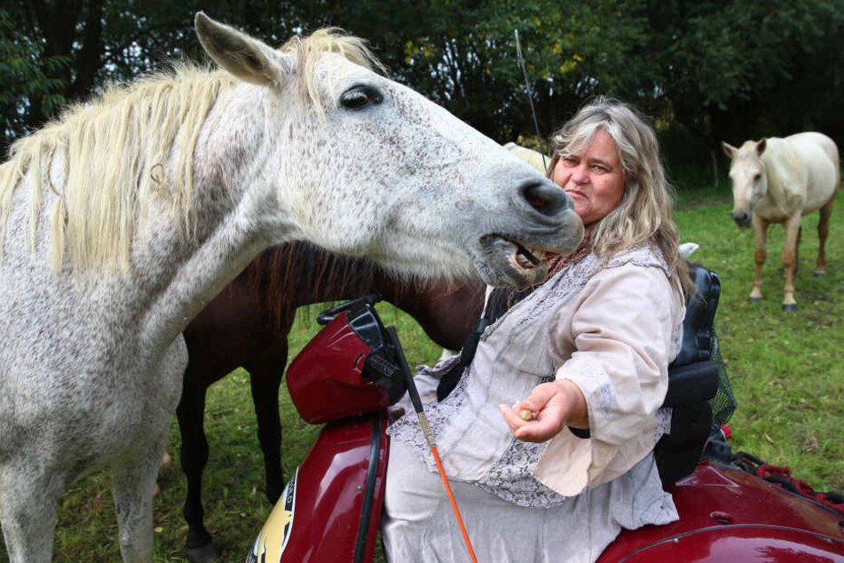 Silke Vallentin ist eine gefragte Pferdetrainerin - trotz Handicap.