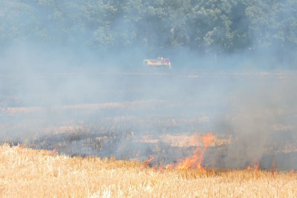 Am Waldrand versuchen die Kameraden, die Flammen von den Bäumen fernzuhalten.