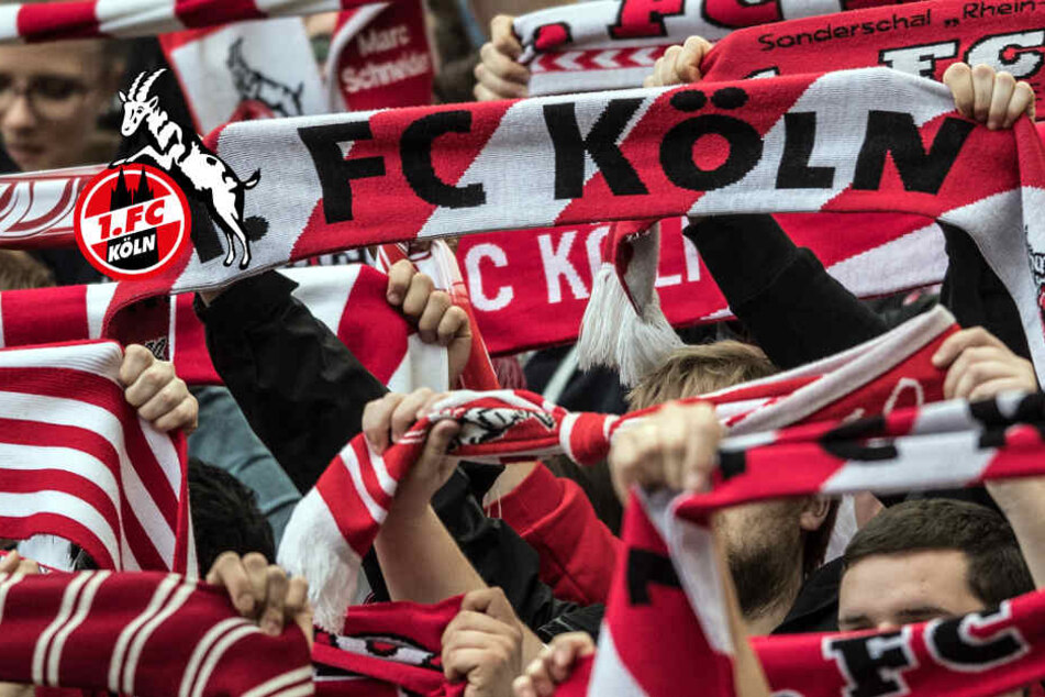 Normalerweise stehen die Fans hinter ihrem Verein